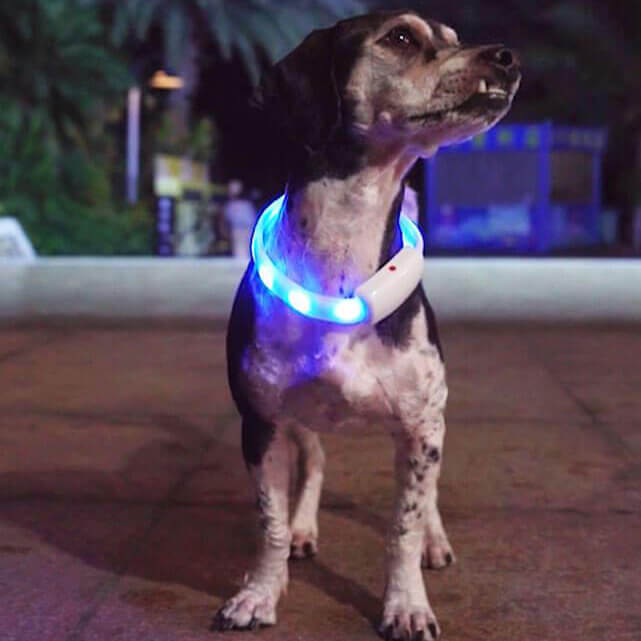 *NEW* LED-Dog Collar "RAINBOW", Extra Bright, USB Charging