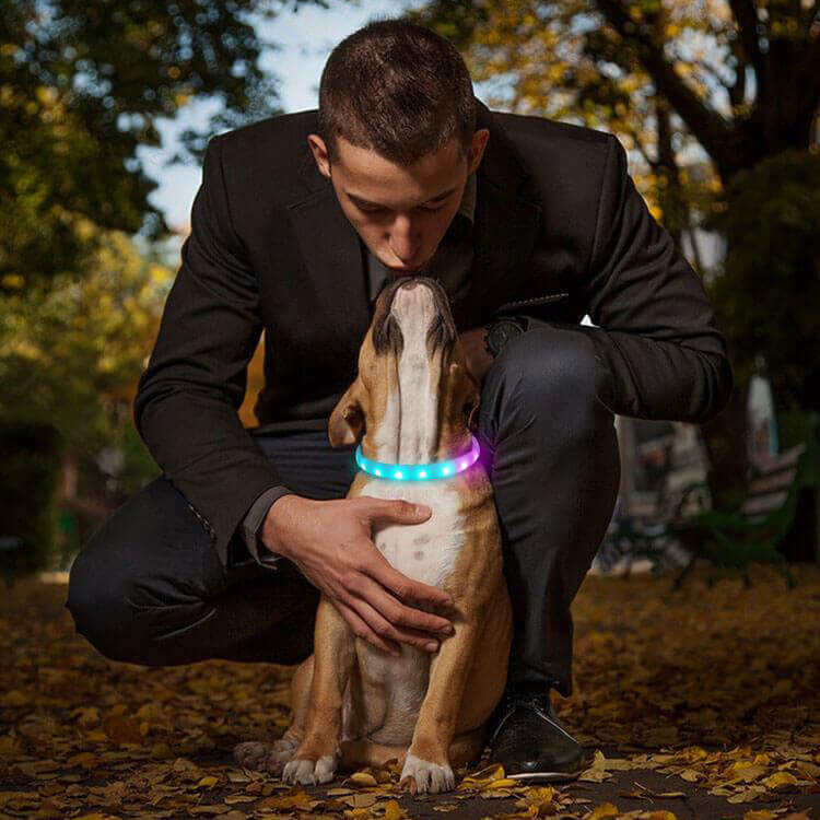 *NEW* LED-Dog Collar "RAINBOW", Extra Bright, USB Charging