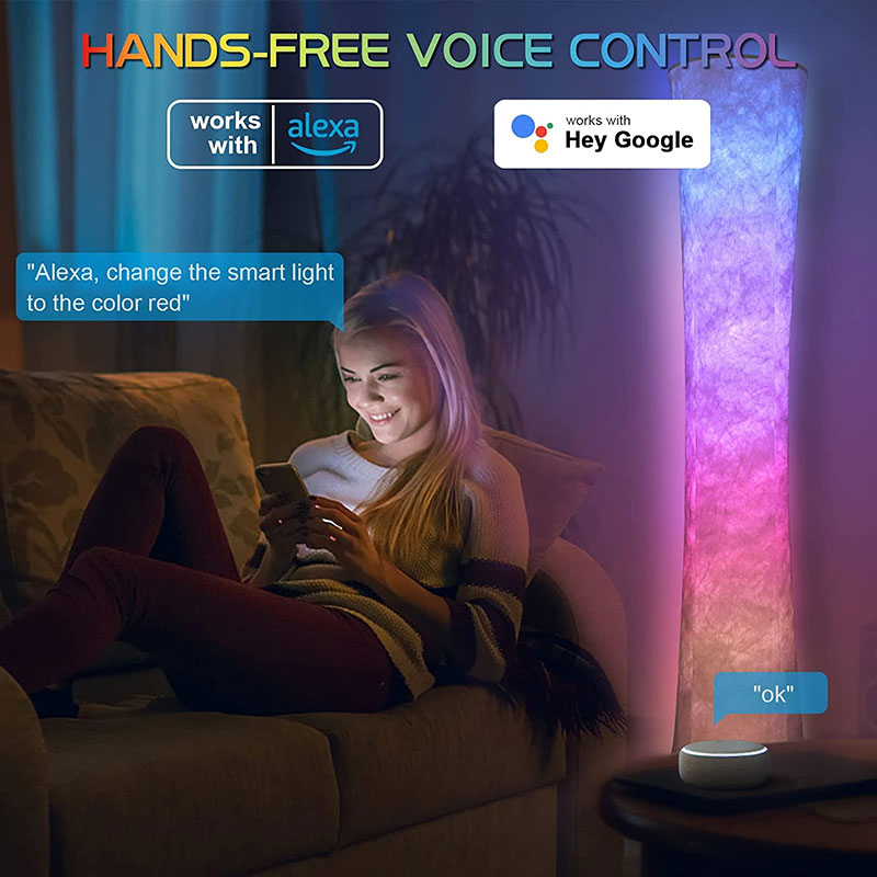 LED Rainbow Livingroom Lamp with Remote Control & APP