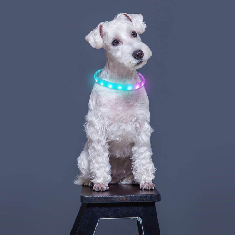 *NEW* LED-Dog Collar "RAINBOW", Extra Bright, USB Charging