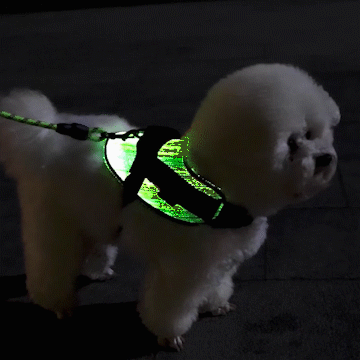 *NEW* Illuminated LED Dog Harness for Small Dogs & Puppies