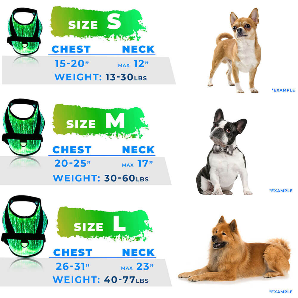 *NEW* Illuminated LED Dog Harness for Small Dogs & Puppies
