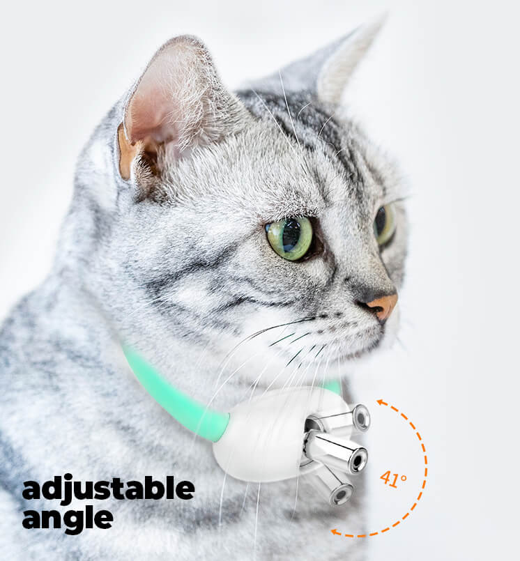 Play Light Collar for Kitten & small Dogs