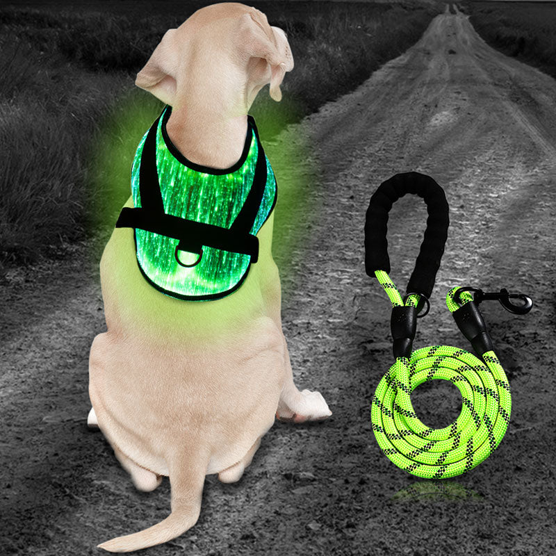 *NEW* Illuminated LED Dog Harness for Small Dogs & Puppies