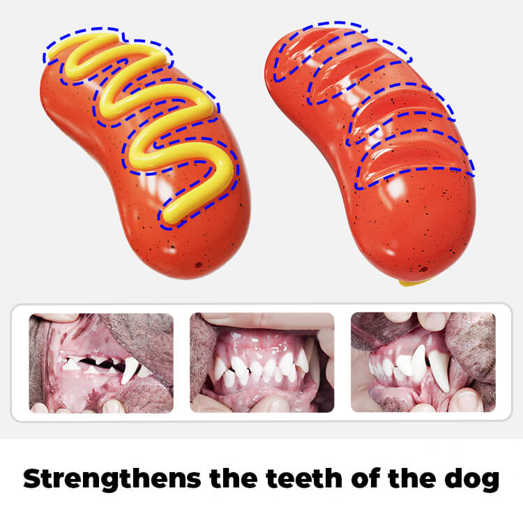 Funny Squeaky Sausage Dog Toy