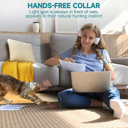 Play Light Collar for Kitten & small Dogs