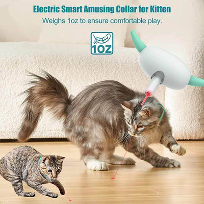 Play Light Collar for Kitten & small Dogs