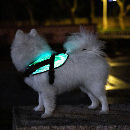 *NEW* Illuminated LED Dog Harness for Small Dogs & Puppies