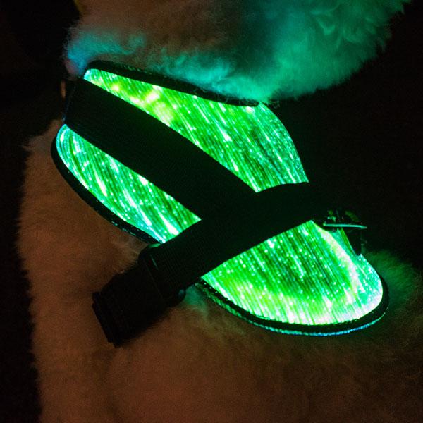 *NEW* Illuminated LED Dog Harness for Small Dogs & Puppies