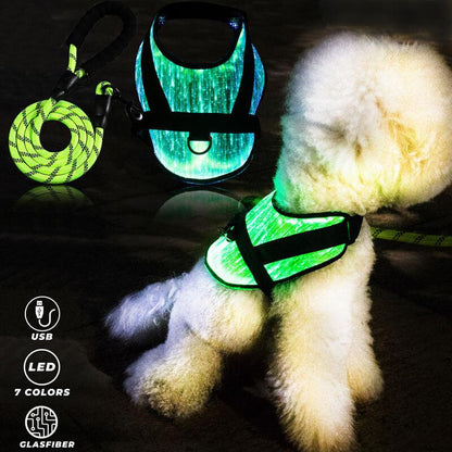 *NEW* Illuminated LED Dog Harness for Small Dogs & Puppies