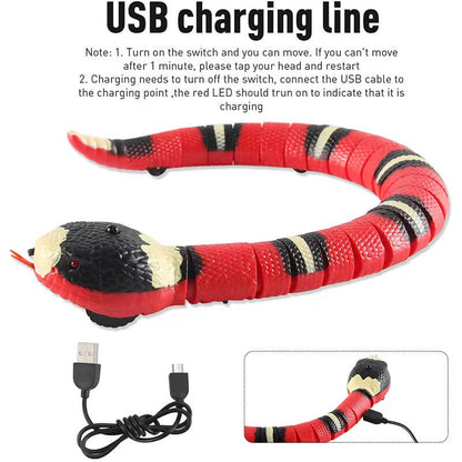 THE SNAKE - Interactive Toy for Cats, Dogs & Kids