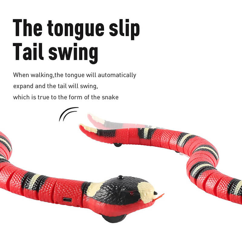 THE SNAKE - Interactive Toy for Cats, Dogs & Kids