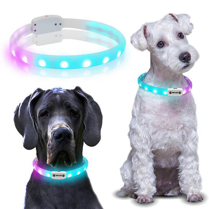 *NEW* LED-Dog Collar "RAINBOW", Extra Bright, USB Charging