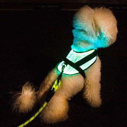 *NEW* Illuminated LED Dog Harness for Small Dogs & Puppies